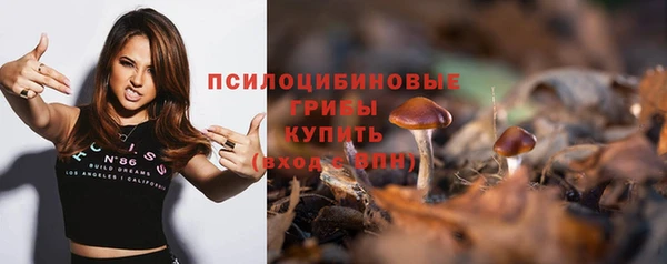 СК Медногорск