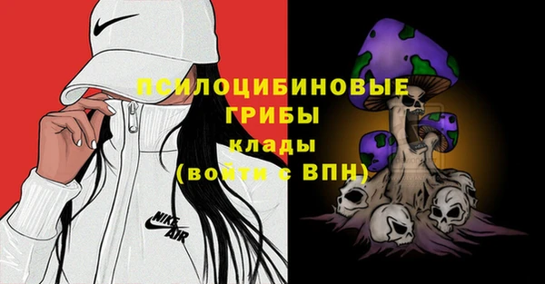 прущая мука Мегион