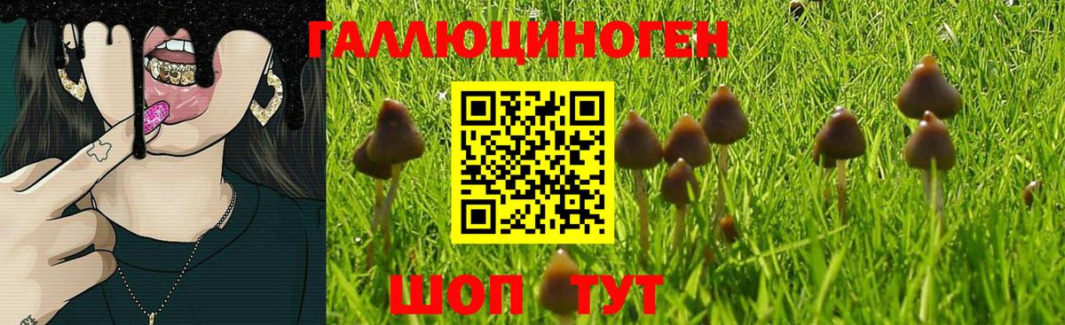 Псилоцибиновые грибы Psilocybe  Вход с VPN  Ханты-Мансийск 