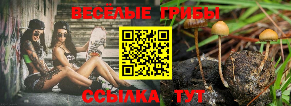 Псилоцибиновые грибы прущие грибы Ханты-Мансийск